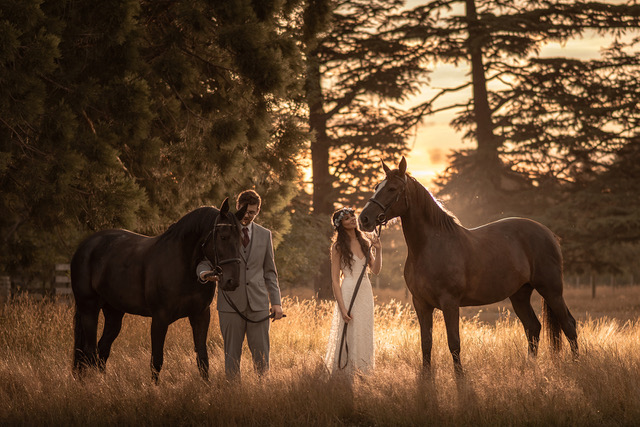 Christchurch Wedding Venue Bangor Farm